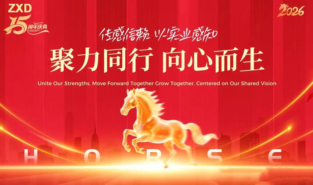 龙翔万里·乘风而上 | 智行盾2024年会盛典